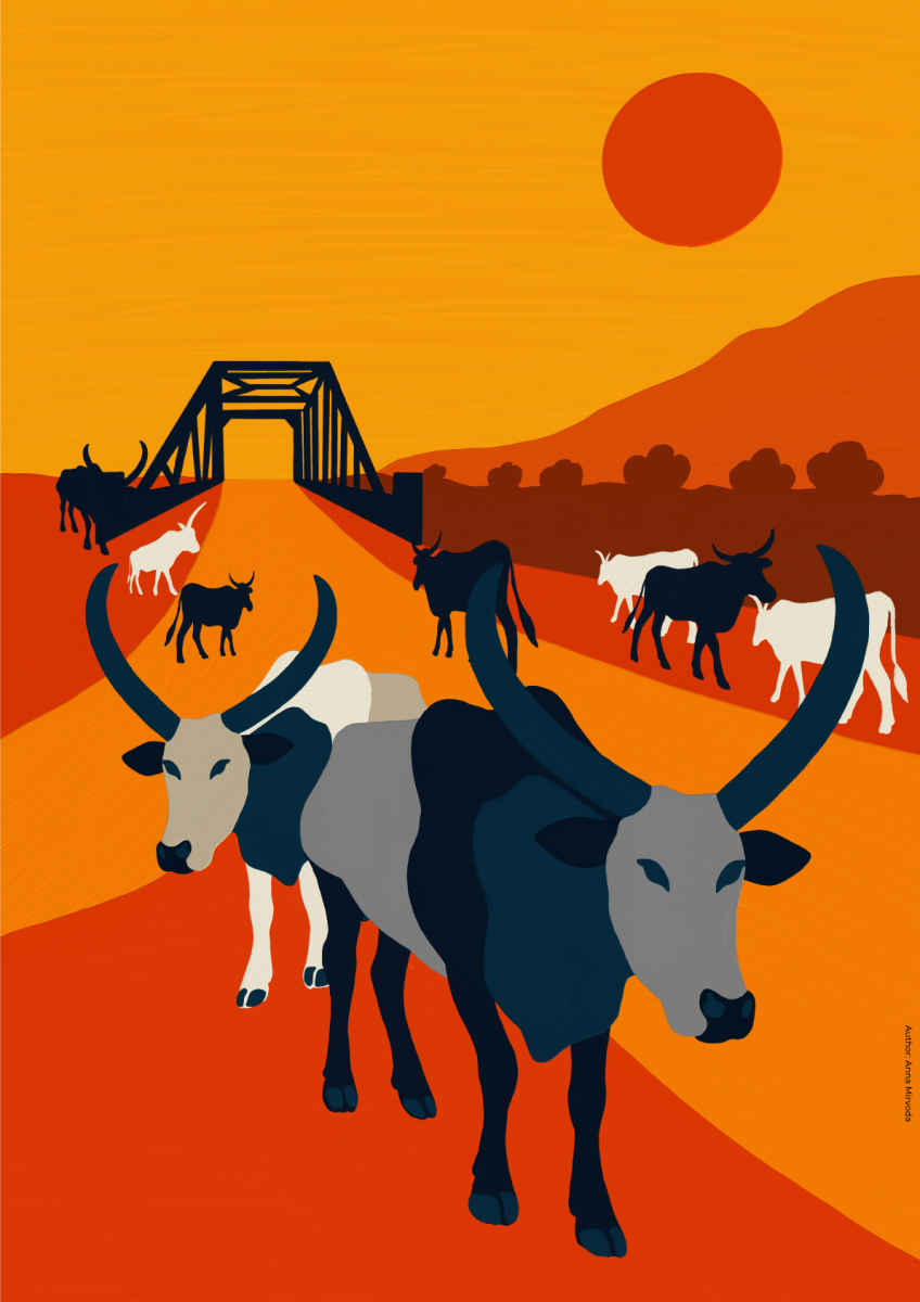 sudan-krowy.png
